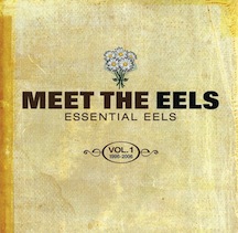 eels