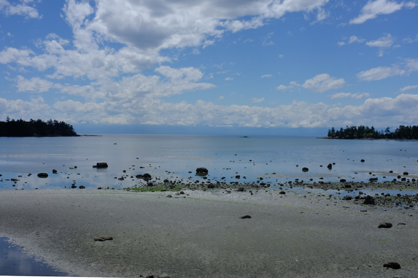 False Bay, San Juan Island, Washington